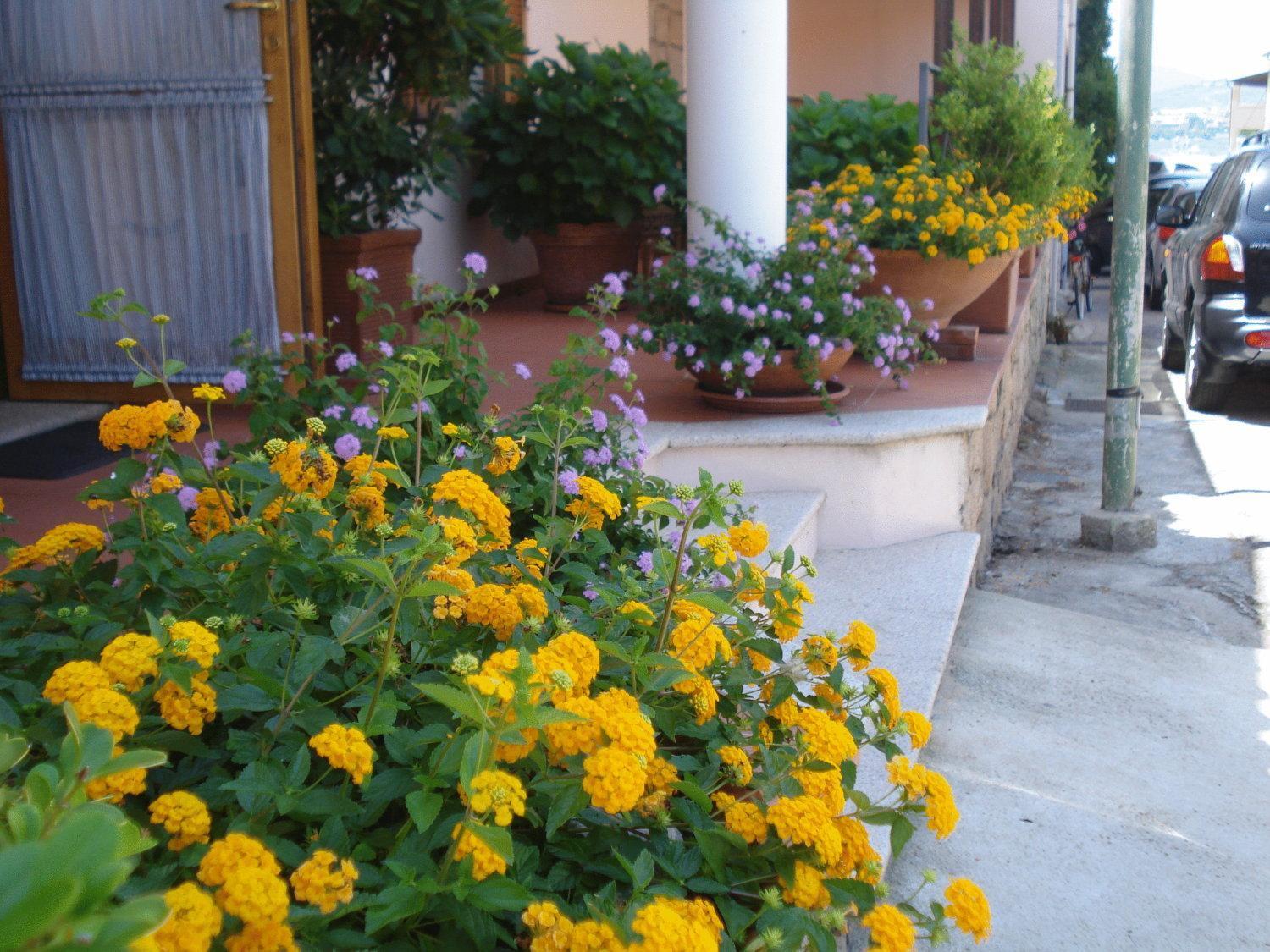 Hotel La Lampara Golfo Aranci Exteriör bild